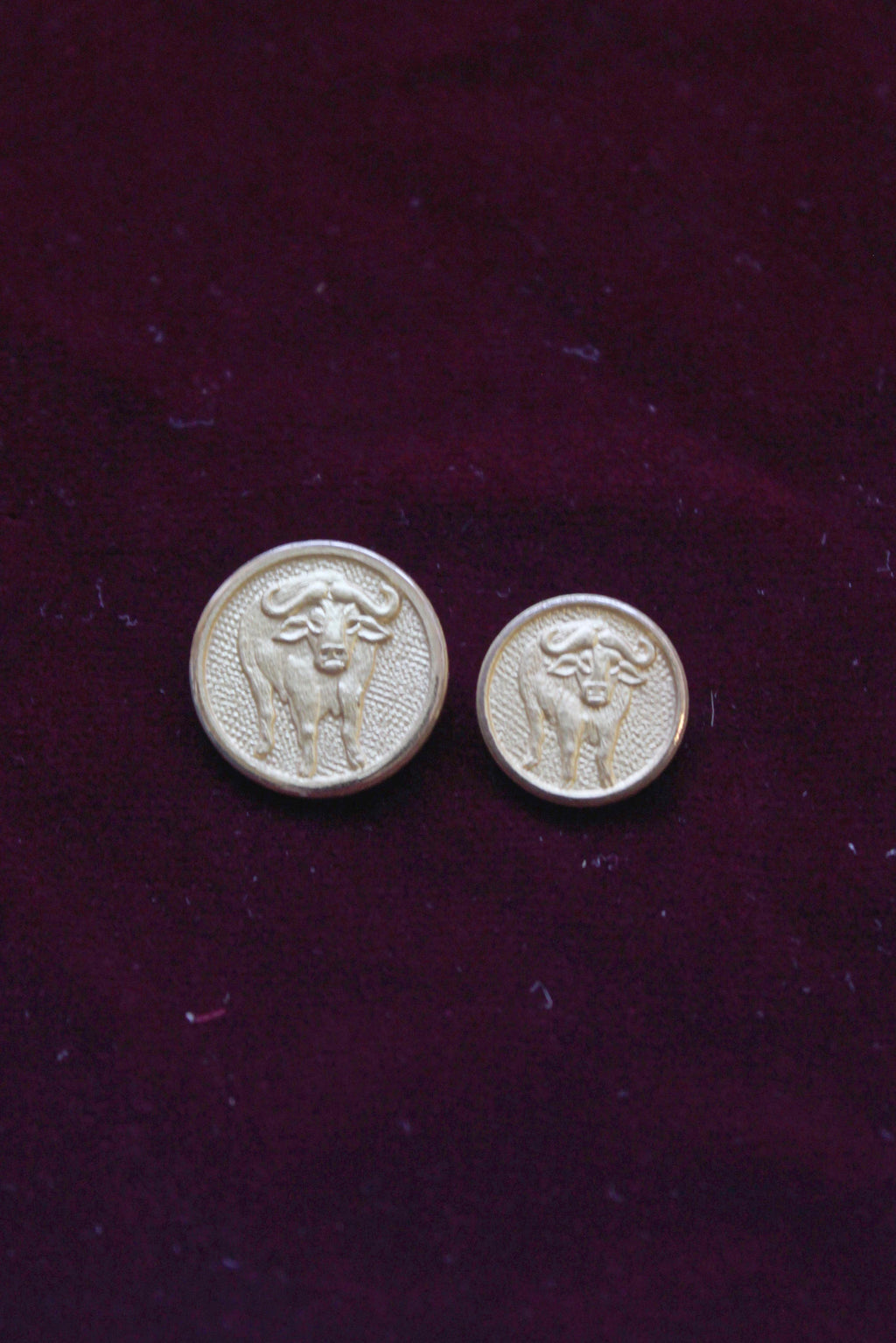 Bull/Buffalo Buttons