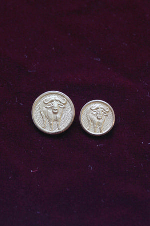 Bull/Buffalo Buttons