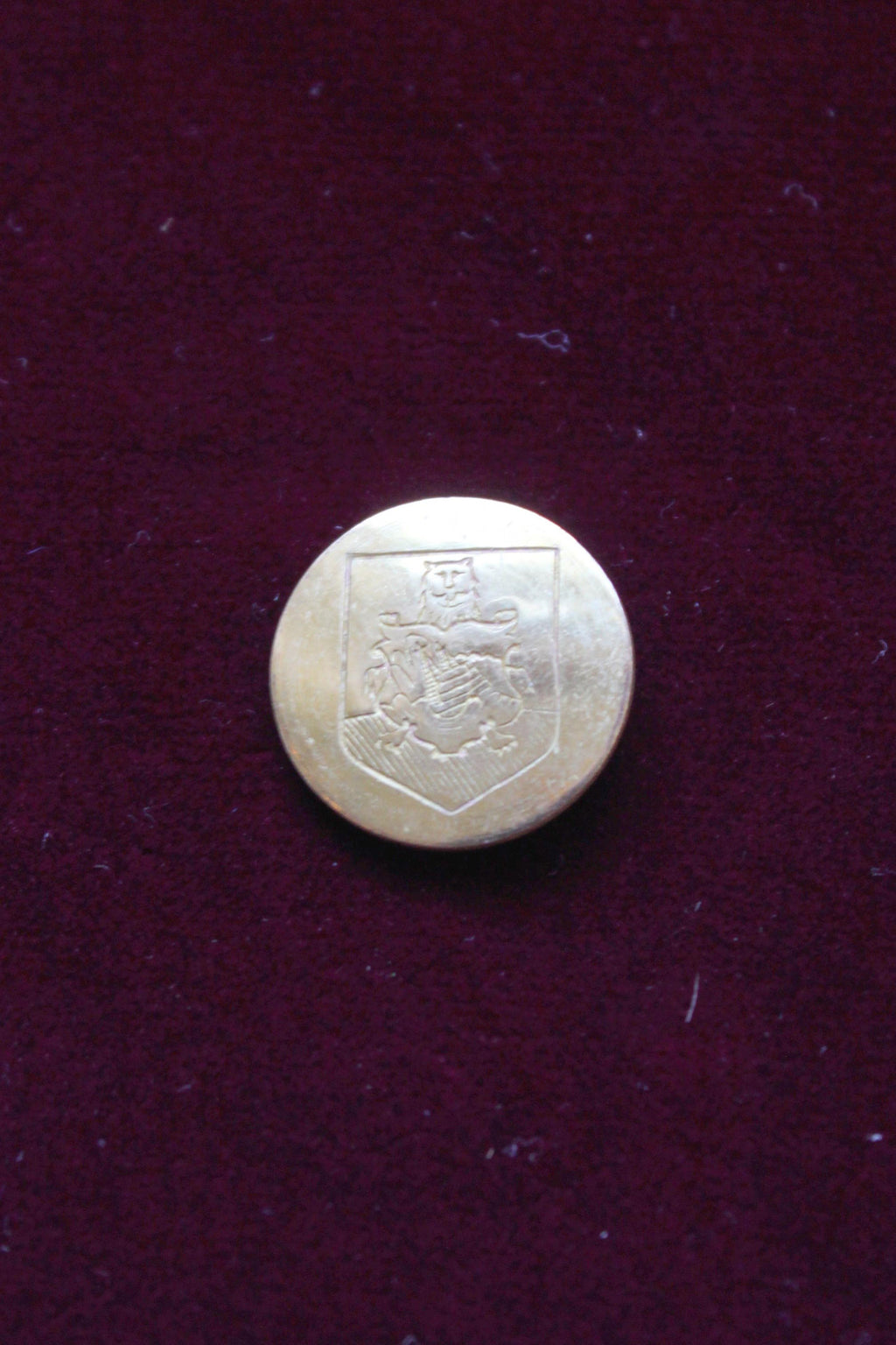 Coat of Arms of Bermuda Button