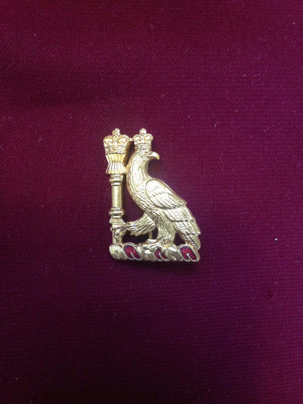 Royal College of Surgeons Pin Badge (small)
