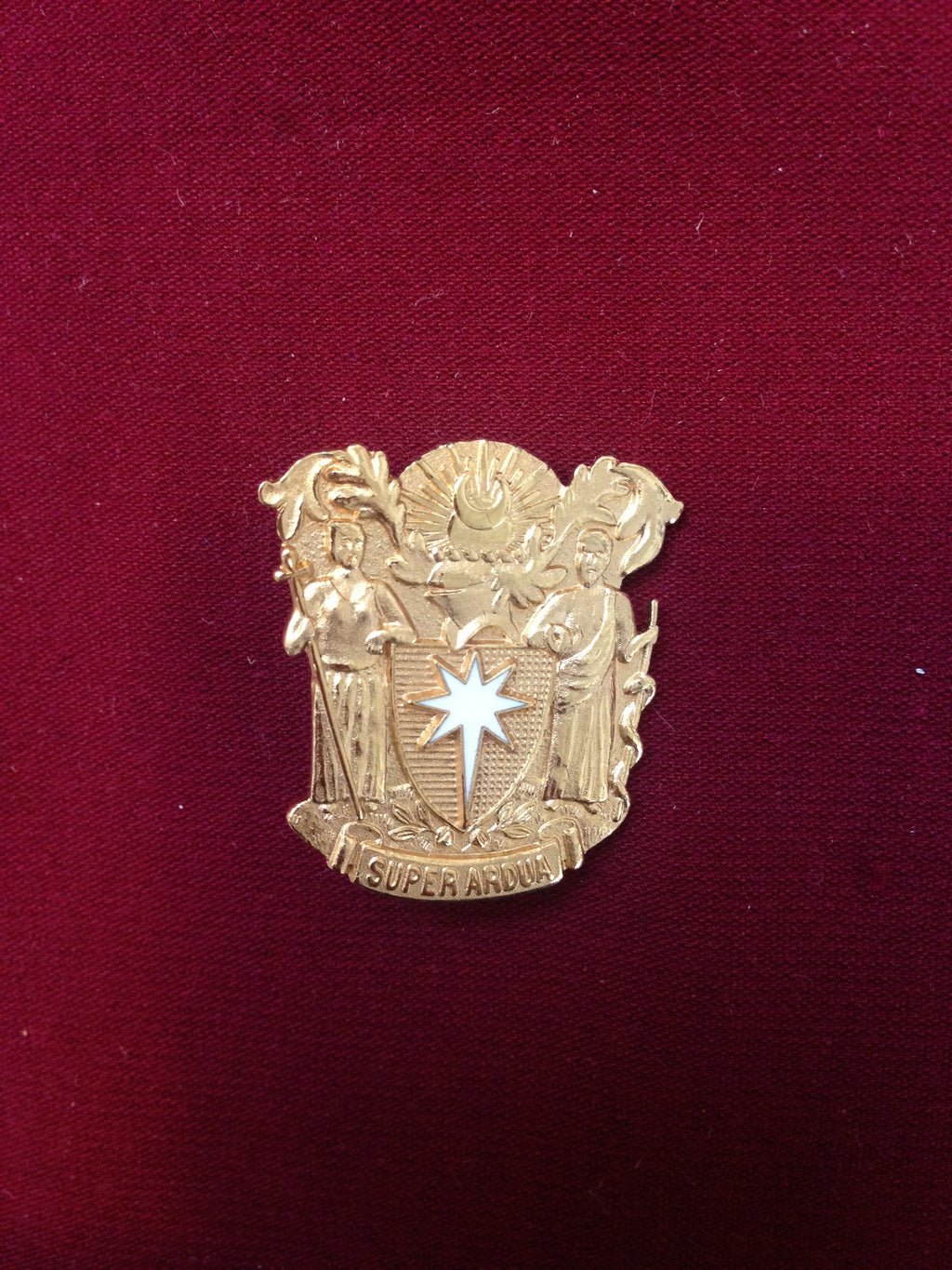 Royal College of Obstetricians and Gynaecologists Pin Badge (Small)