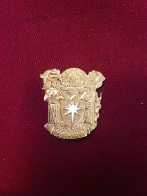 Royal College of Obstetricians and Gynaecologists Pin Badge (Small)