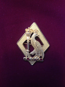Royal College of Surgeons Pin Badge (Large)