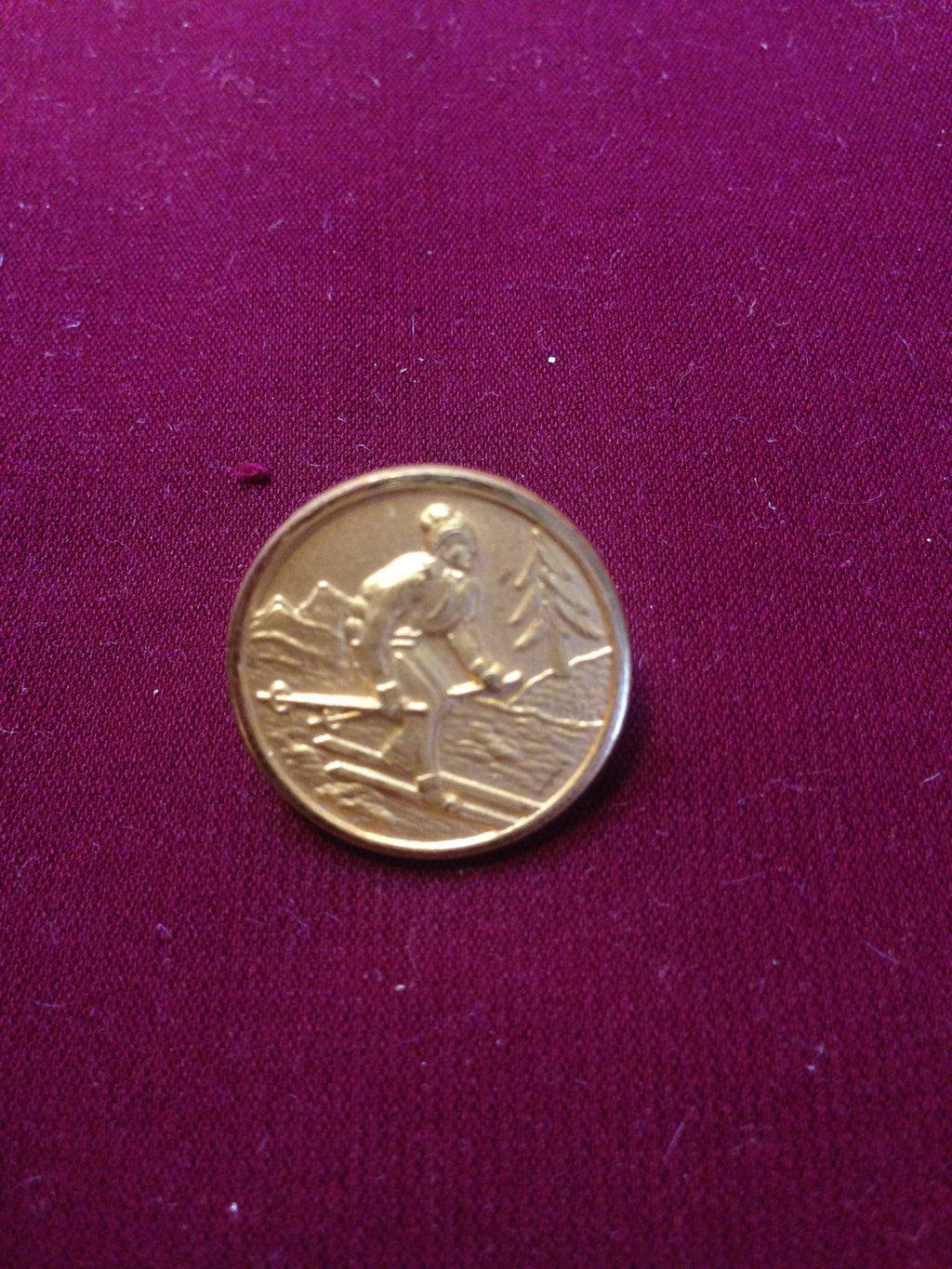 Sports : Skiing Buttons