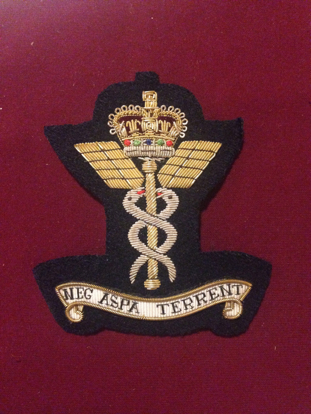 RAF Medical Blazer Badge