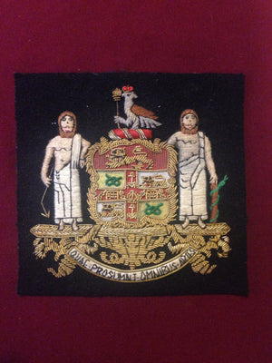 Royal college of Surgeons Blazer Badge